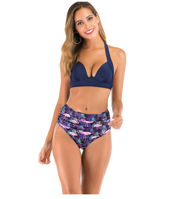 Sexy Printed High-waisted Two-piece Swimsuit