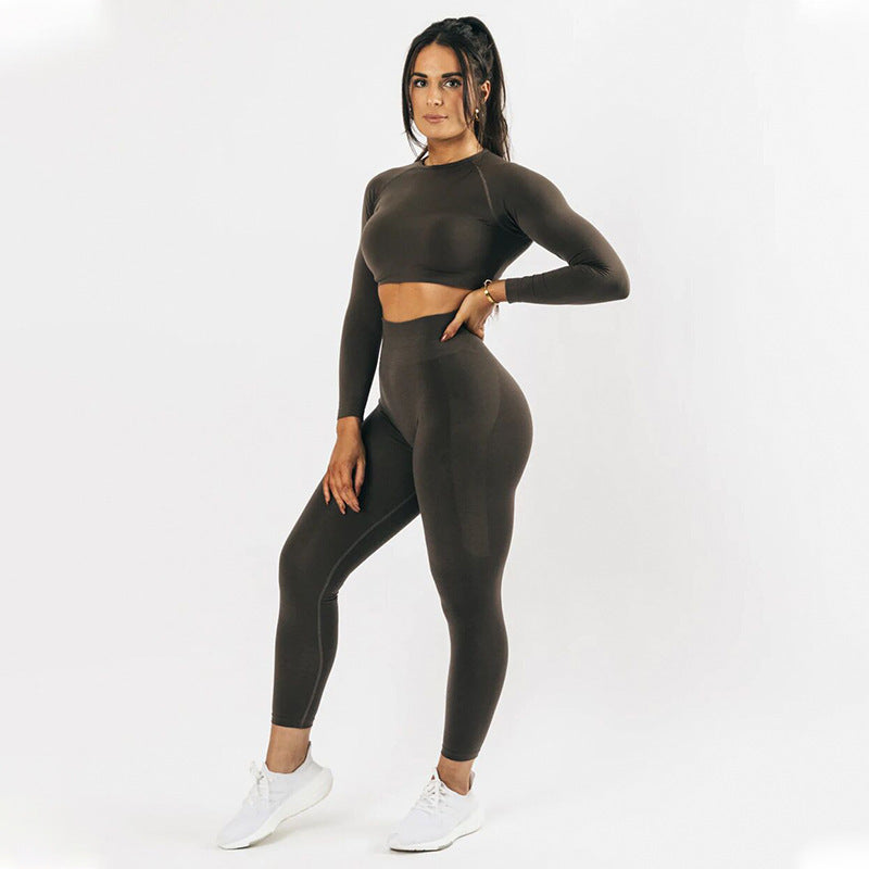 Women's Seamless Yoga Long Sleeve Tight Quick Dry Fitness Set