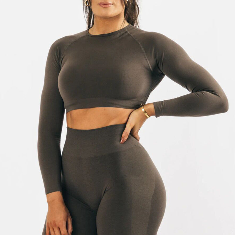 Women's Seamless Yoga Long Sleeve Tight Quick Dry Fitness Set